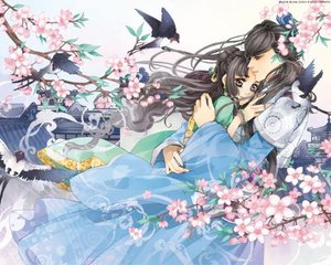 星空传媒免费在线视频